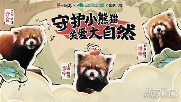 魔力宝贝私服传说中的合合岛认养濒危小熊猫 用游戏传播公益正能量